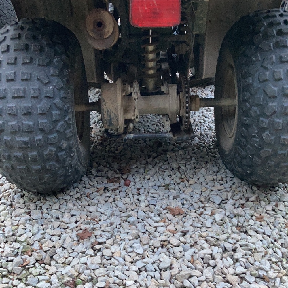 Four wheeler - Picture 4 of 4